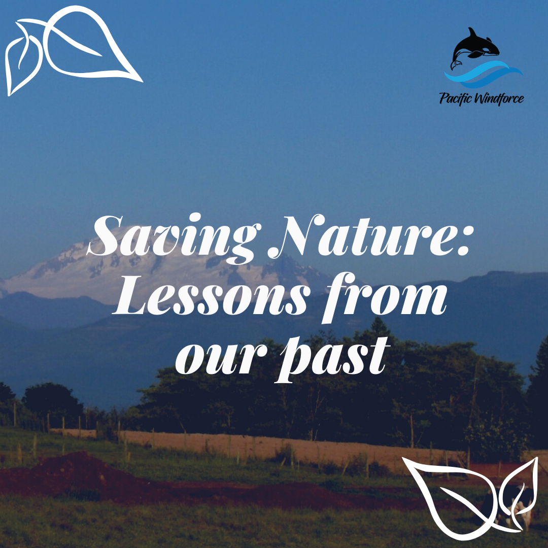 Saving Nature Lessons from our past